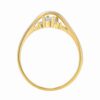 Zlatý prsten Alexia s Brilliance Zirconia ze žlutého a bílého 14kt zlata FNNNF170RGYW - Image 3